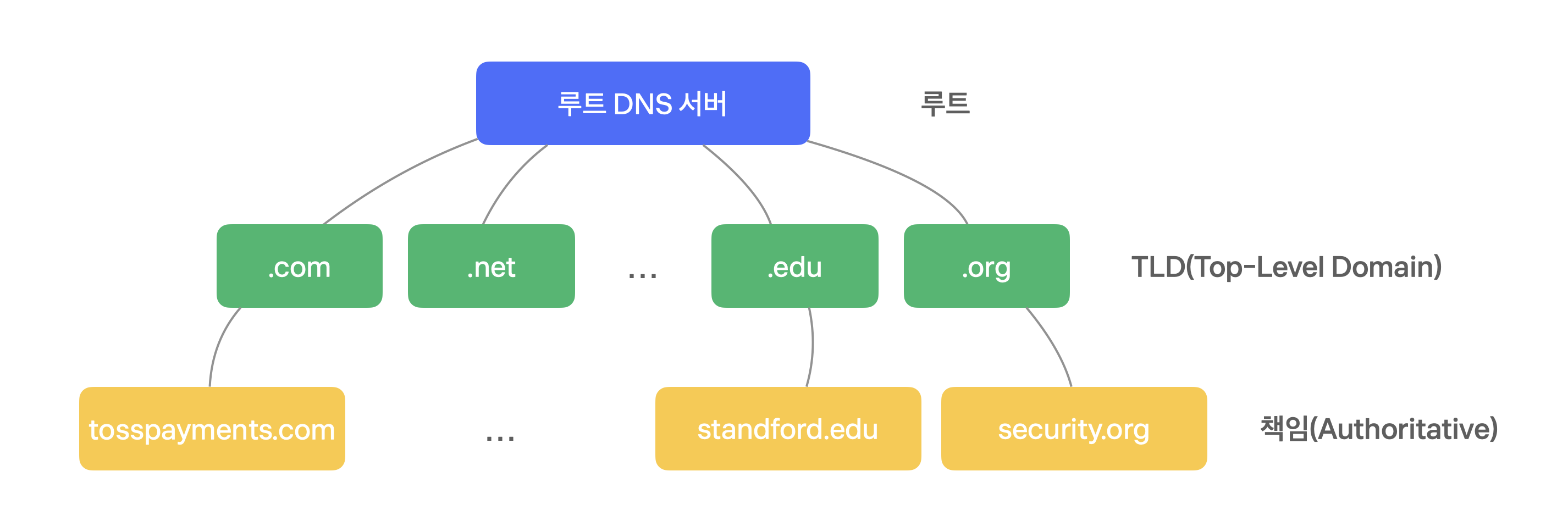 DNS Tree