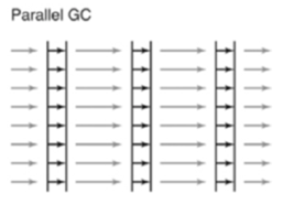 Parallel GC